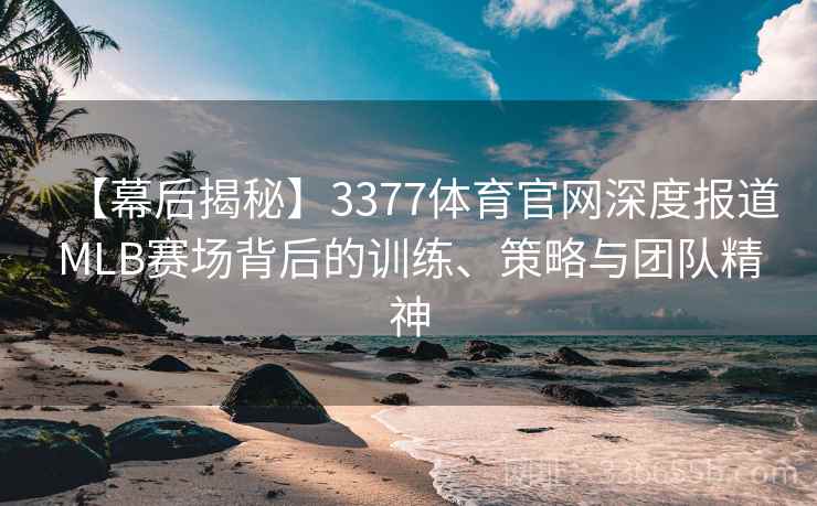 【幕后揭秘】3377体育官网深度报道MLB赛场背后的训练、策略与团队精神